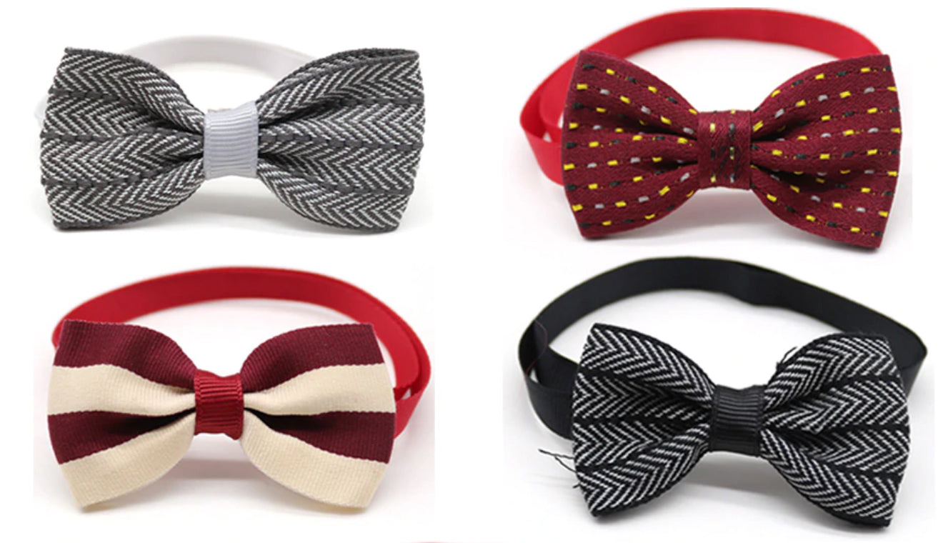 Charlie Paw's Assorted Bow Tie Set