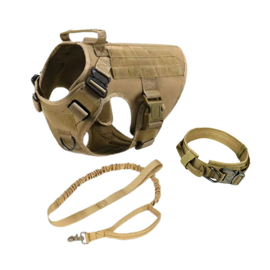 Charlie Paw's Collar, Leash, and Tactical Harness Set